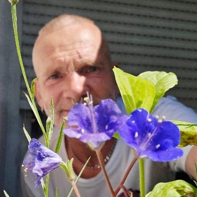 Spreepunk@norden.social
