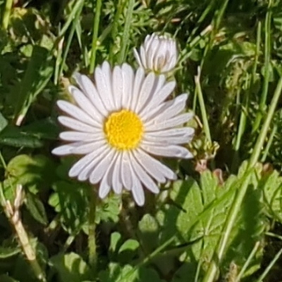 ImmerNurRichtung@norden.social