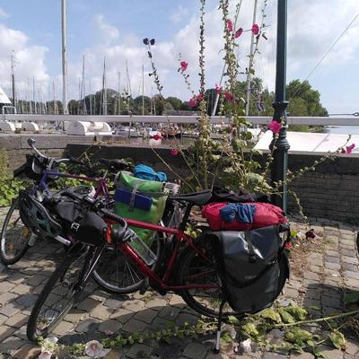 kraselnuss@norden.social