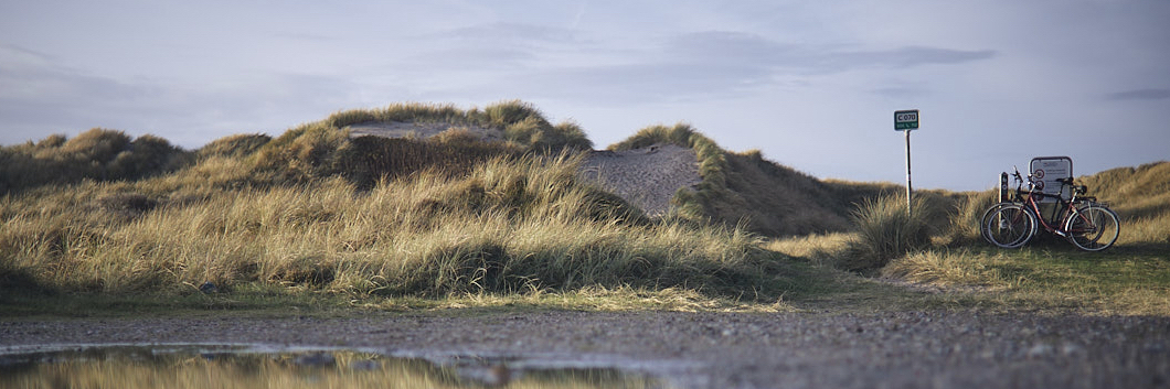 Header Image
