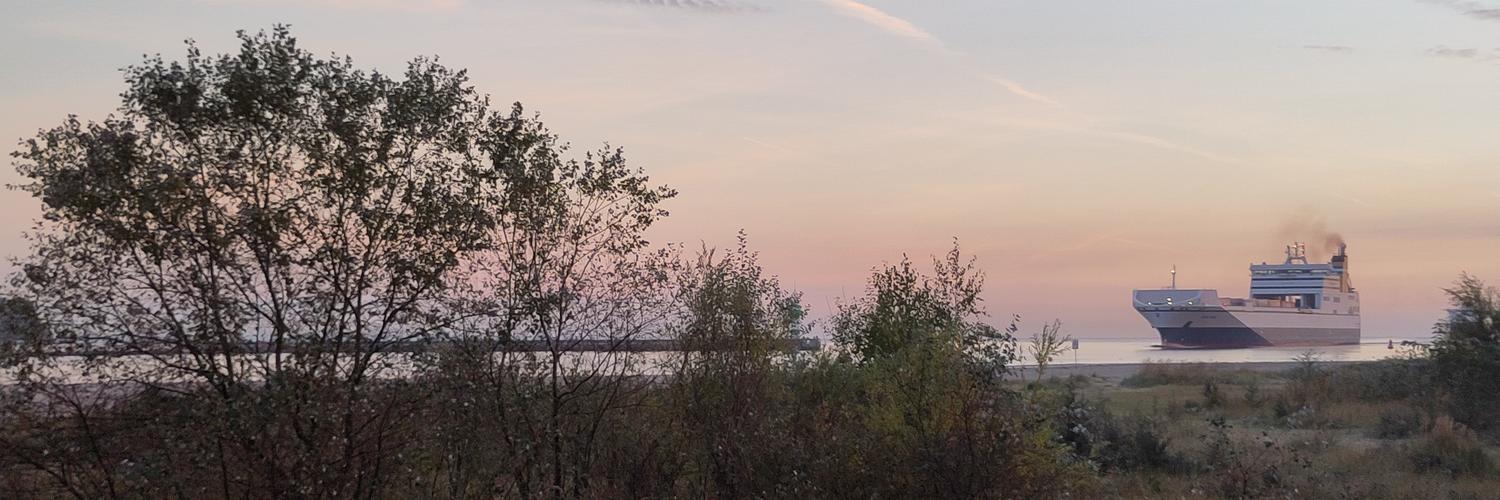 Header Image