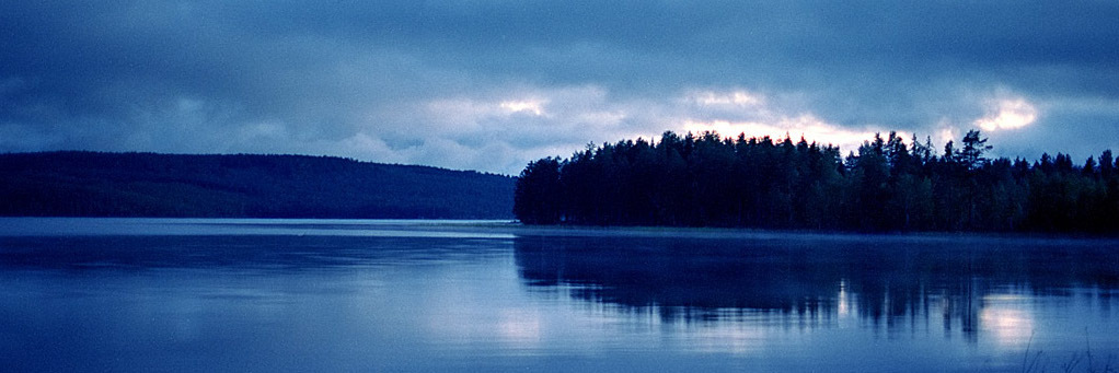 User banner