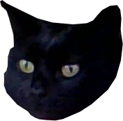 :sofia: