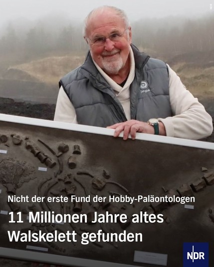 Bild: Ein älterer Mann hält ein präpariertes Skelett hoch.

Text: Nicht der erste Fund der Hobby-Paläontologen

11 Millionen Jahre altes Walskelett gefunden