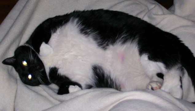Molly was the love of my life.