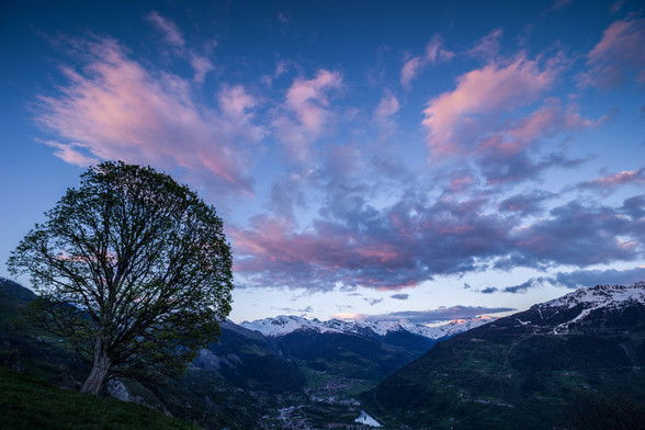 Photo d'un paysage de montagne au coucher du soleil.
Un arbre se dresse sur le côté gauche de l'image, au bord d'une vallée. Il penche un peu vers la vallée à sa droite, il a un tronc court et son feuillage encore clairsemé du début de printemps lui donne une forme ronde. 
Le fond de vallée est verdoyant, on distingue des villes et villages, les flancs des montagnes sont un damier de forêts et de prés. Les sommets sont enneigés.
Les deux tiers supérieurs de l'image sont occupés par le ciel bleu, traversé de nuages roses aux formes élancées du fait du grand angle.
-
Photo of a mountain landscape at sunset.
A tree stands on the left side of the picture, on the edge of a valley. It leans slightly towards the valley to its right, its trunk is short and its early spring foliage still sparse, giving it a round shape. 
The valley floor is green, with towns and villages in plain view, and the mountainsides are a checkerboard of forests and meadows. The peaks are covered in snow.
The upper two-thirds of the image are taken up by blue sky, crossed by pink clouds with slender shapes due to the wide angle.