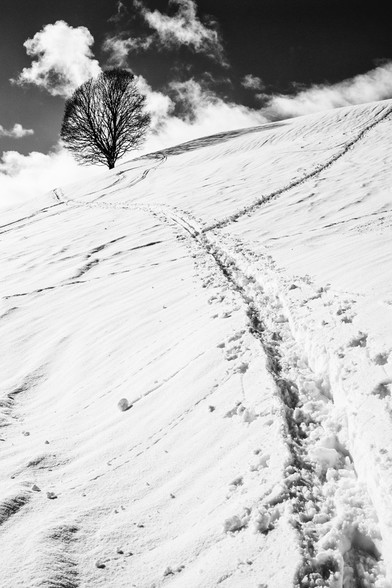 Photo d'un paysage enneigé en noir et blanc, au format portrait.
Une trace piétinée dans une pente enneigée part du coin inférieur droit et se dirige en une légère courbe vers le coin supérieur gauche. Elle est coupée par l'horizon qui suit la pente qui remonte vers la droite.
Juste à droite de la fin de la trace, se dresse un arbre sans feuilles. Le tronc est très court et les branchages ont une forme ovoïde. Le ciel est traversé de quelques nuages blancs. 
Il y a d'autres traces qui coupent la pente.
-
Black and white portrait of a snowy landscape.
A trampled track on a snow-covered slope starts from the lower right corner and curves slightly towards the upper left corner. It is intersected by the horizon, which follows the slope up to the right.
Just to the right of the end of the track, stands a leafless tree. The trunk is very short and the branches are egg-shaped. The sky is crossed by a few white clouds. 
There are other tracks cutting across the slope.