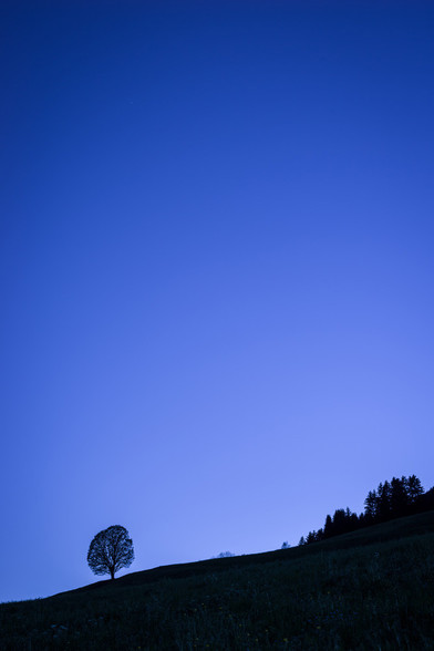 Photo d'un paysage au crépuscule, au format portrait.
Tout en bas de l'image on voit un paysage quasiment en ombres chinoise, seuls quelques légers détails sont visibles dans les ombres.
Tout à gauche on voit la silhouette d'un arbre au tronc court et de forme ovoïde. A droite en remontant une légère pente, la silhouette d'un lisière de forêt de résineux se dessine.
Le reste de l'image (les trois quarts hauts) est constitué d'un ciel en dégradé du bleu clair au bleu sombre (du bas vers le haut).
-
Portrait-format photo of a landscape at dusk.
At the very bottom of the image is a landscape in almost Chinese shadow, with only a few faint details visible in the shadows.
On the far left is the silhouette of a tree with a short, egg-shaped trunk. On the right, up a slight slope, the silhouette of a coniferous forest edge comes into view.
The rest of the image (the upper three-quarters) is made up of a sky gradated from light to dark blue (from bottom to top).