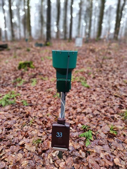 Gerät, das den Regenfall im Wald misst.

Foto: Simon Drollinger