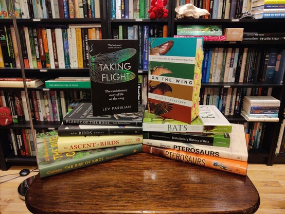 A photo of two books standing on a small, brown, wooden table. On the left, Taking Flight, showing an iridescent dragonfly wing on a black background. On the right, On the Wing, showing four coloured rectangles each containing a drawing of a wing (insect, pterosaur, bat, bird).  These two books stand on two stacks of four books each that have been arranged like a circular staircase. The stack contains books about the evolution of birds, bats, insects, and pterosaurs. The background shows black shelves full of books and part of the beech-coloured laminate floor.