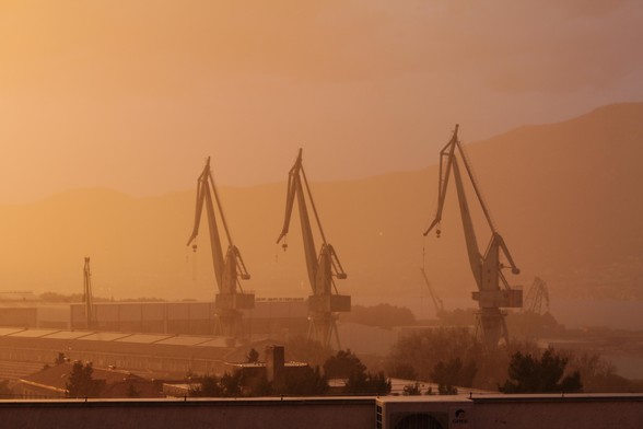 Cranes during a rainstorm in the golden hour