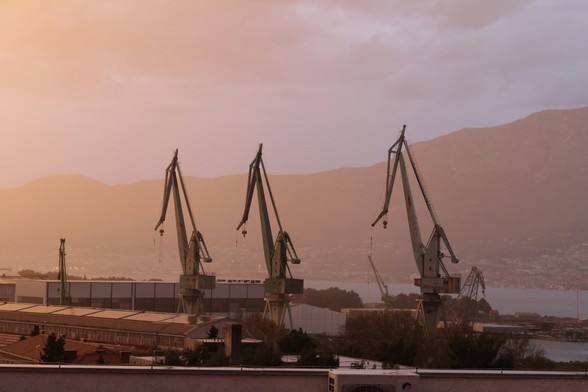 Cranes after a rainstorm in the golden hour.