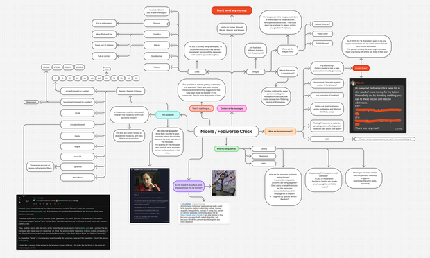 internet infograph about the fedichick shenanigans