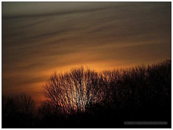 In zarten Pastellfarben kündigt sich an einem frühen Märzmorgen der Sonnenaufgang über der Feldmark im nördlichen Kreis Plön an, kahle Bäume heben sich am Horizont scherenschnittartig vom Himmel ab.