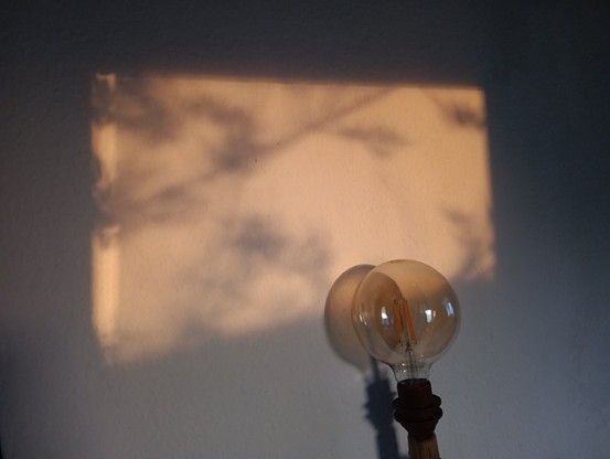 Foto. Sonnenuntergangslicht scheint blassorange auf eine weiße Wand (diese wirkt hier eher in Grautönen). Im Lichtschein sind verschwommen Äste und junge Blatttriebe zu erkennen. Unten rechts wird eine LED-Fadenlampe teilweise angeleuchtet. Im Glaskolben spiegeln sich Fenster.