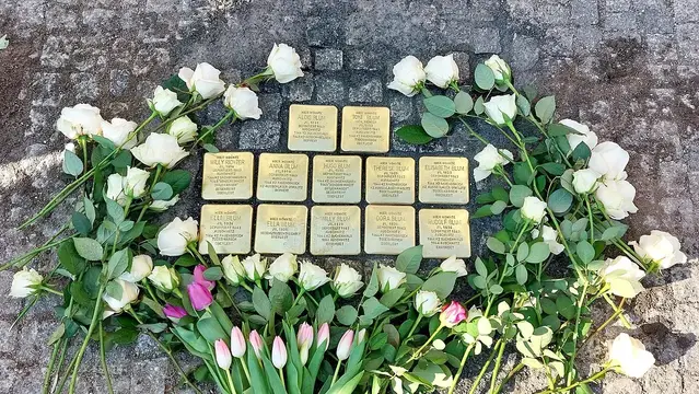 The image shows a collection of small, rectangular plaques arranged on a cobblestone surface. These plaques are likely commemorative stones, often used as a memorial for individuals who suffered or were victims of tragic events. Surrounding the plaques are white and pink roses, adding a floral tribute to the memorial. The overall arrangement appears to be a respectful homage to the individuals represented by the plaques.

Image Credits: Wikimedia / Dr. Bernd Gross / CC0