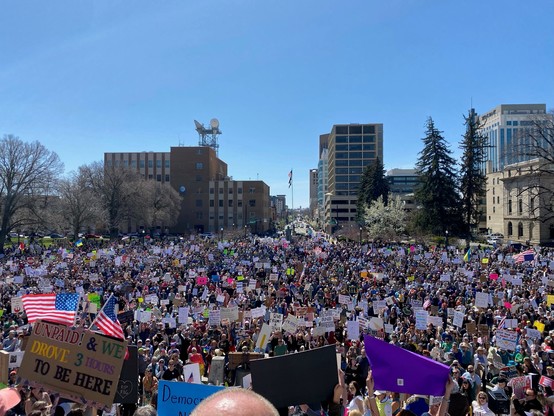 A large crowd of protestors gathers outdoors holding various signs, with many displaying messages and American flags. The setting features tall buildings and clear blue skies, indicating a sunny day.