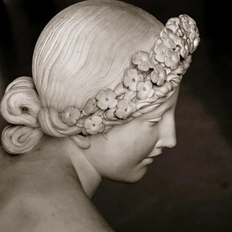 her head, seen from above, she is facing right , flowers on a band in her hair