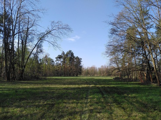 lěs a łuka pola Slěpego