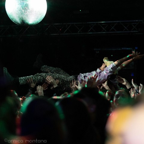 A person is crowd-surfing above a group of outstretched hands at a lively concert, with a large disco ball overhead. The scene is illuminated with colorful lights, capturing the energetic atmosphere of the event.