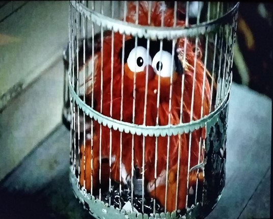 an image from the show of a bird cage with a red ball of fur with 2 big eyes and a little tooth growing in from the bottom inside of it, it is animal as an infant