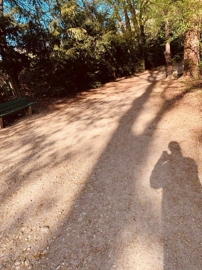 Baum- und Menschschatten auf Erdigem Weg an einer Hecke