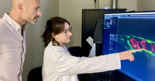 Sciences. Des chercheurs de Strasbourg identifient une nouvelle piste pour lutter contre la formation des métastases