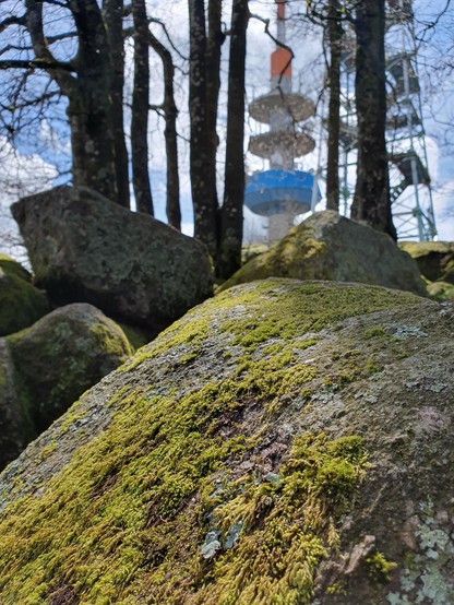 mossy rocks in pale sunlight, in the background some bare trees, a telecommunication tower and a lookout tower