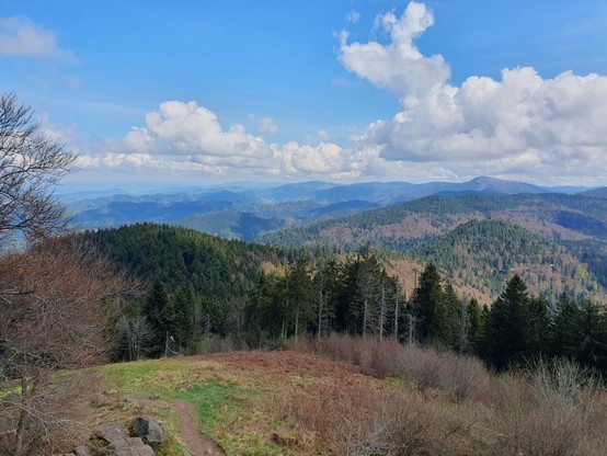 Blick vom Gipfel des Hochblauen herunter auf bewaldete Berge, einige Wolken am blauen Himmel, im Vordergrund blattlose Bäume und Sträucher
