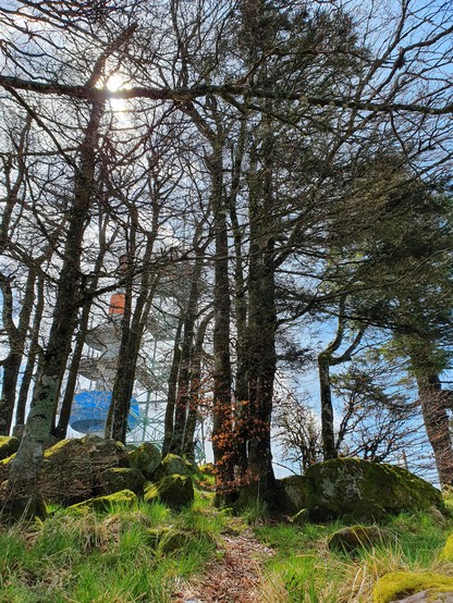 Blick von unten: bemooste Felsen liegen zwischen einigen Bäumen, durch die Zweige scheint die Sonne, hinter den Bäumen kann man einen Telekommunikationsturm und einen metallenen Aussichtsturm erkennen