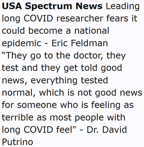 USA Spectrum News Leading long COVID researcher fears it could become a national epidemic - Eric Feldman
“They go to the doctor, they test and they get told good news, everything tested normal, which is not good news for someone who is feeling as terrible as most people with long COVID feel" - Dr. David Putrino