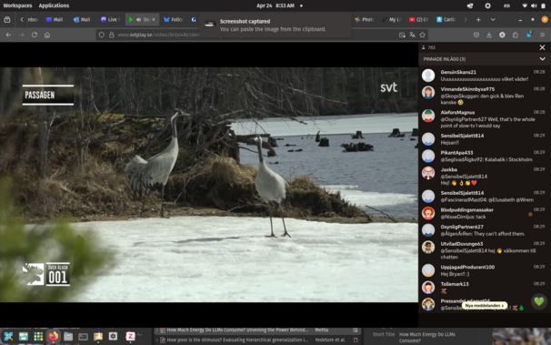 screencap of a view of the moose cam showing two giant tall birds who might be cranes, they are strutting around looking cool