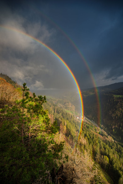 Tiefblick ins Höllental im Schwarzwald, Weitwinkelaufnahme im Hochformat. Über dem Tal geht gerade ein Regenschauer nieder. Von hinten strahlt das Licht der Abendsonne ins Tal und bildet einen eindrucksvollen Kontrast zur schattigen Landschaft weiter hinten und zu den dunklen Regenwolken. Die rechte Hälfte eines intensiv leuchtenden Regenbogens spannt sich durch das Bild und erreicht auch den Teil des Tales, der unterhalb des Betrachters liegt.