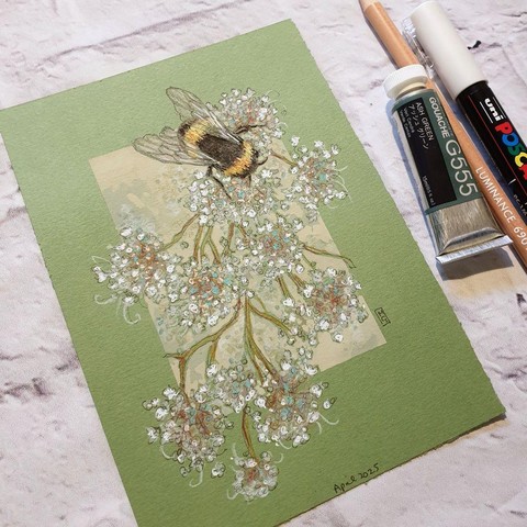 A small drawing of a bumblebee on delicate pale flowers. The drawing is on green pastel paper.
An original art work
Colour pencil and mixed media on acid free toned artist paper
5 by 7 inches (12.7 by 17.8 cm).
Sold unframed