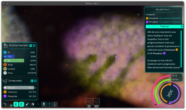 🕶️ A view of its user interface (v.0.8.1.1, on my Linux PC) at the start of the game, with the French tutorial on the right - when I'm still just a single-celled organism, at the mercy of everyone else. On the left, bottom right and top right are the game interfaces.

📚️ Thrive is a libre, multi-platform, single-player / multi-player (local/online, competitive) game of great ambition, taking as its theme the evolution of species from the microbe stage to the space age and beyond. The game is divided into 7 stages: Microbe, Multicellular, Aware, Awakening, Society, Industrial and Space. Through each of them, the player will guide his creature towards intelligence, sensitivity and the stars. The project has set itself 2 major objectives: to create a captivating and fascinating game that respects the players' intelligence, and to stick as closely as possible to known scientific theories.