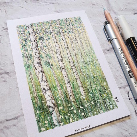 A small white birch woodland drawing. The drawing is in very soft pale tones of green and yellow against the white trunks of the trees. The drawing is on white pastel paper.
An original art work
Colour pencil and mixed media on acid free toned artist paper
5 by 7 inches (12.7 by 17.8 cm).
Sold unframed
