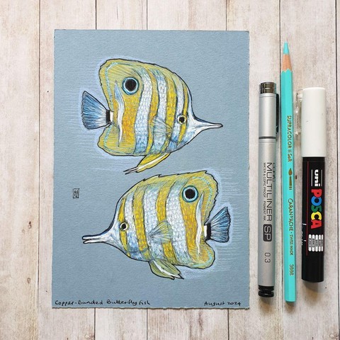 A colour drawing of two Copper-Banded Butterfly Fish. Yellow and white striped fish. The copper-banded butterflyfish, also known as the beaked coral fish, is found in reefs in both the Pacific and Indian Oceans.
An original art work
Colour pencil and mixed media on acid free toned artist paper
5 by 7 inches (12.7 by 17.8 cm). This is a standard photo size in the UK and USA and should be easy to DIY frame.
Sold unframed