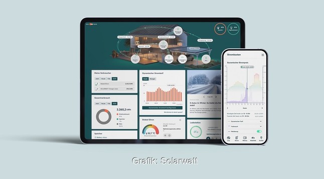 Im Bild die App mit dem Solarwatt-Service Home plus.