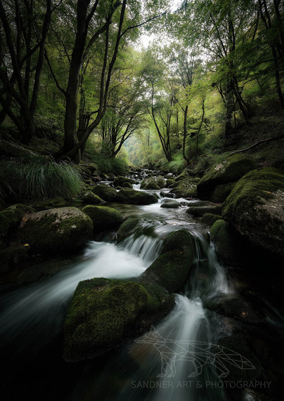 A mesmerizing photograph of a flowing creek in the Black Forest, Germany. The water cascades over moss-covered rocks, surrounded by tall, leafy trees in a dense, green forest, creating an enchanting and serene atmosphere. A watermark reading "Sandner Art & Photography" is visible in the bottom right corner.