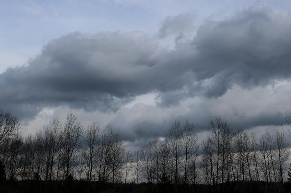 Photograph of a dark and stormy sky, with horizontal rows of grey blue clouds, above and behind a row of leafless trees at the bottom.