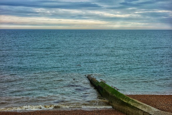 This is a view of the sea at Brighton under a cloudy sky. The horizon line, where the grey and blue sky meets the darker blue sea, is roughly in the upper third of the frame. The sea has gentle waves and appears slightly choppy. In the foreground, a long, moss-covered groyne extends from the pebble beach into the water. Small waves are breaking against the groyne and washing onto the shingle beach. A few birds are perched on the end of the groyne, and one bird is flying low over the water in the middle distance. The beach is made up of small, smooth pebbles and is visible in the bottom of the image.