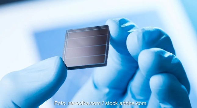 Eine Hand mit blauem Handschuh hält eine Solarzelle, Longi hat einen Rekordwirkungsgrad mit einer Rückkontakt-Solarzelle erzielt.