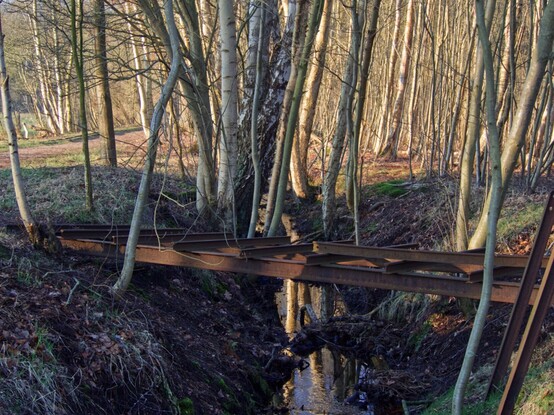 Verrottende Bahnschranke überm Graben 