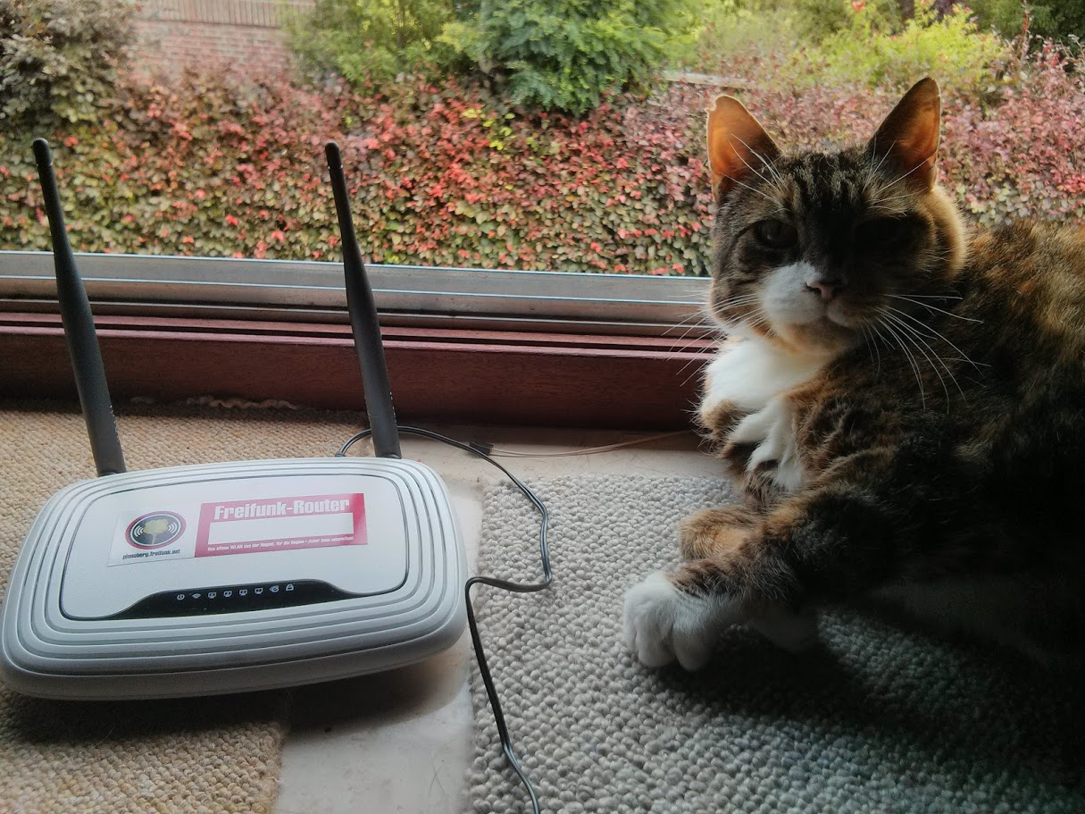 Katze liegt neben Freifunk Router am Fenster.