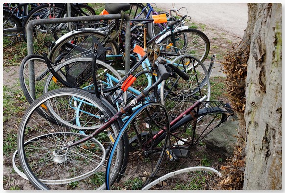 Mehrere Fahrräder liegen auf einem Weg mit Fahrradbügeln. Zum Teil sind es nur noch Rahmen, einige Räder und verrostete Bestandteile. Einige haben ein orangesfarbenes Hinweisschild weist auf den Fahrradschrott hin. 

Several bicycles are lying on a path with bicycle hoops. Some of them are just frames, a few wheels and rusty components. Some have an orange-coloured sign indicating that they are scrap bikes. 