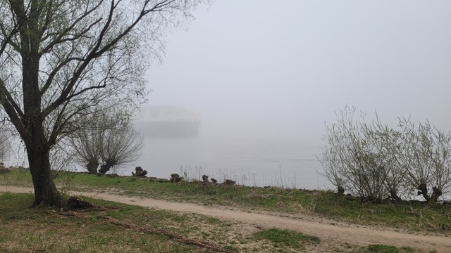 Blick auf die, im Nebel liegenden, Elbe. Im Vordergrund grünes Ufer mit einem parallel verlaufenden Sandweg. Links ein winterkahler Baum, am Ufer einige Büsche. Von links kommt ein Frachter, der aber nur ganz schemenhaft zu erkennen ist.