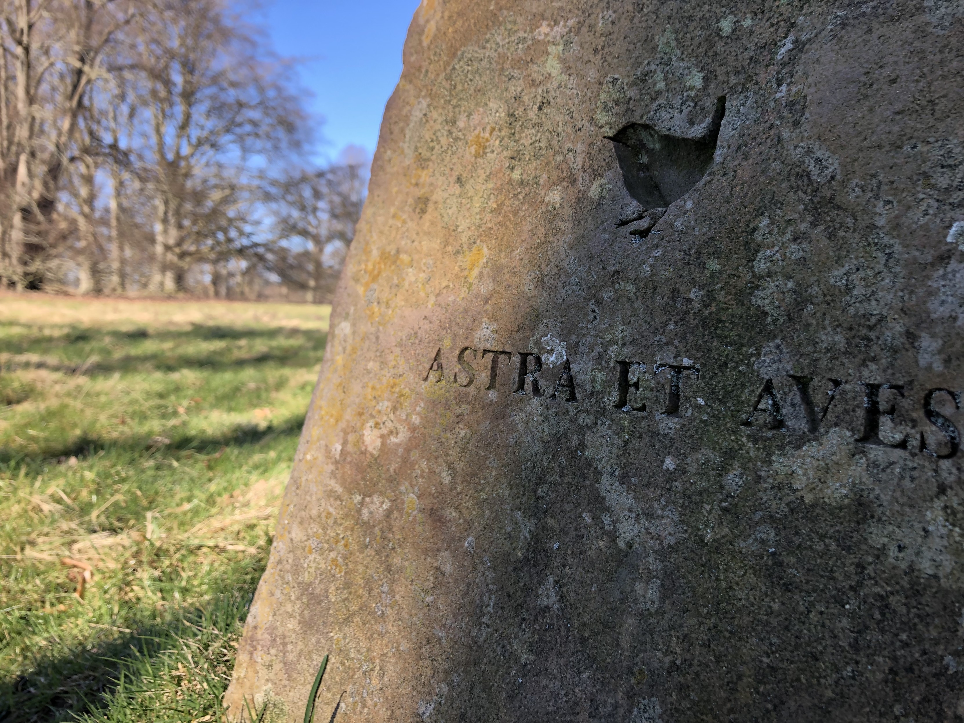 Ein flechtenbewachsener Sandstein, in den der Umriss eines Zaunkönigs gefräst wurde und der Text: „ASTRA ET AVES“. Dahinter eine winterliche Wiese und große, kahle Bäume unter blauem Himmel. Ein flechtenbewachsener Sandstein, in den der Umriss eines Zaunkönigs gefräst wurde und der Text: „ASTRA ET AVES“. Dahinter eine winterliche Wiese und große, kahle Bäume unter blauem Himmel.