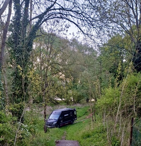 Transporter umgeben von Grün auf einem Wanderweg.