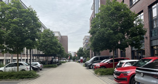 Foto von einer Fahrbahn. Links und rechts vor allem Parkplätze, dazwischen ein paar junge Bäume und dahinter Fassaden aus Baacksteinklinker und Fenstern. Die Fußwege hinter den Parkplätzen lassen sich bestenfalls erahnen.


Auf ein paar Parkplätze hat eine Firma einen Unterstand mit Fahrradbügeln eingerichtet.
