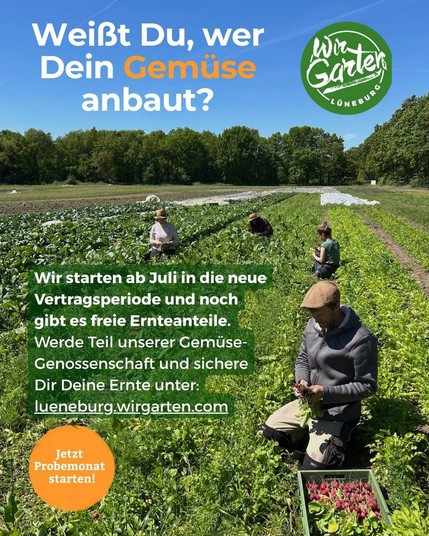 Werbeplakat auf dem 4 Personen auf einem Feld Radieschen ernten. Überschrift: "Weißt du, wer dein Gemüse anbaut?" Der Werbetext verweist auf die Webseite lueneburg.wirgarten.com